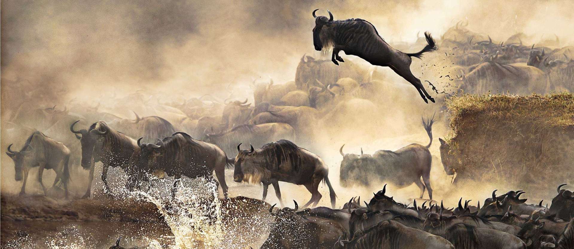 The Ultimate Guide to Witnessing the Great Wildebeest Migration in Kenya