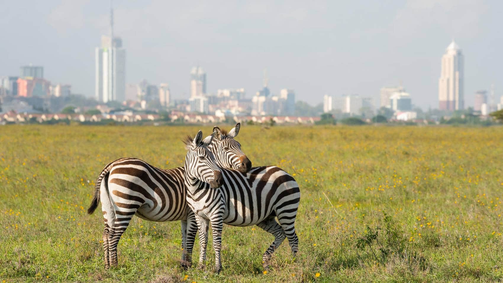 Nairobi National Park