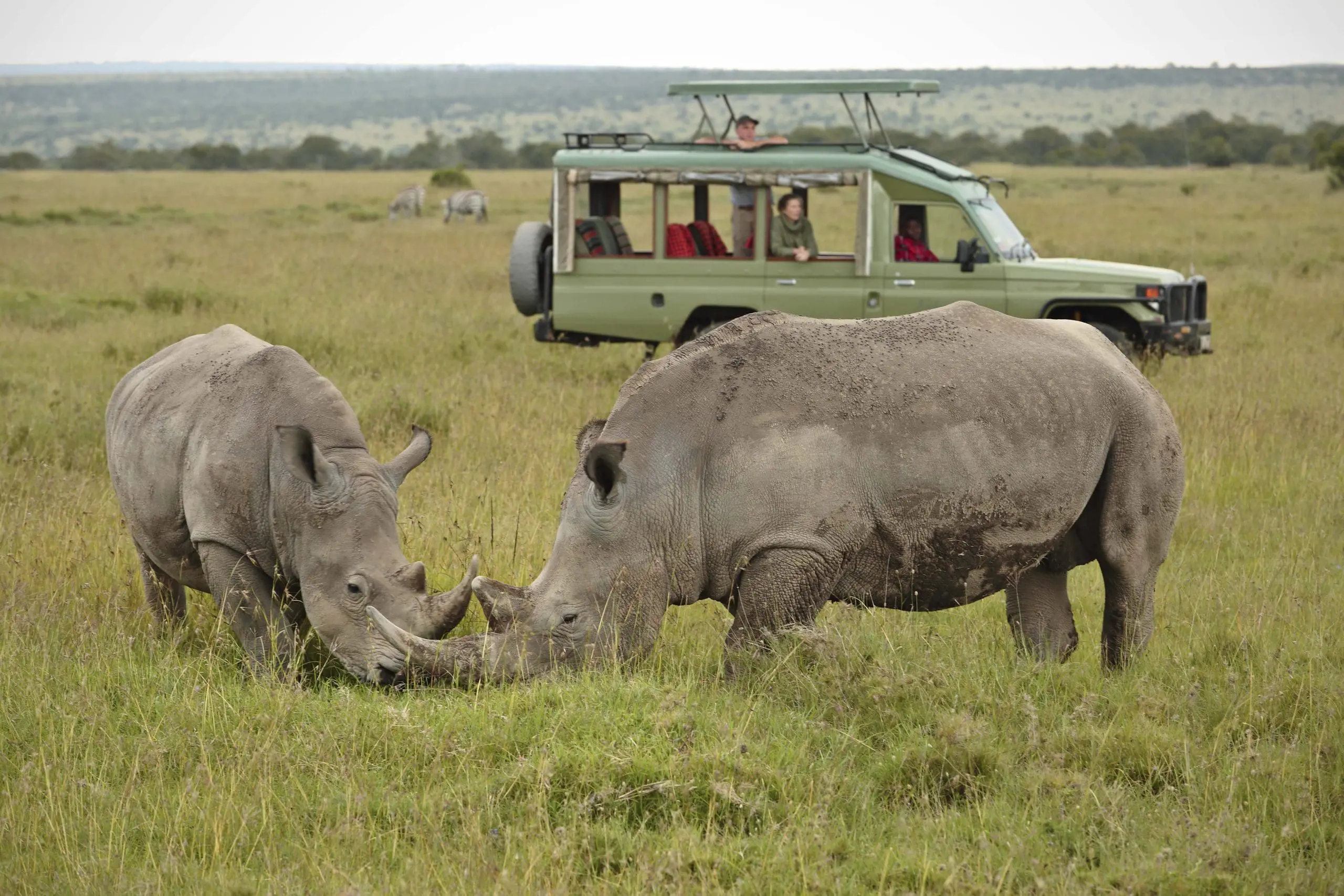 3 Day Ol Pejeta Wildlife Encounter