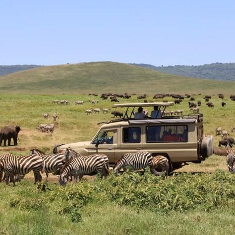 10-Day Grand Kenya Luxury Safari Circuit