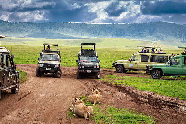 Tanzania Safari ; Serengeti, Ngorongoro &amp; Migration Tour