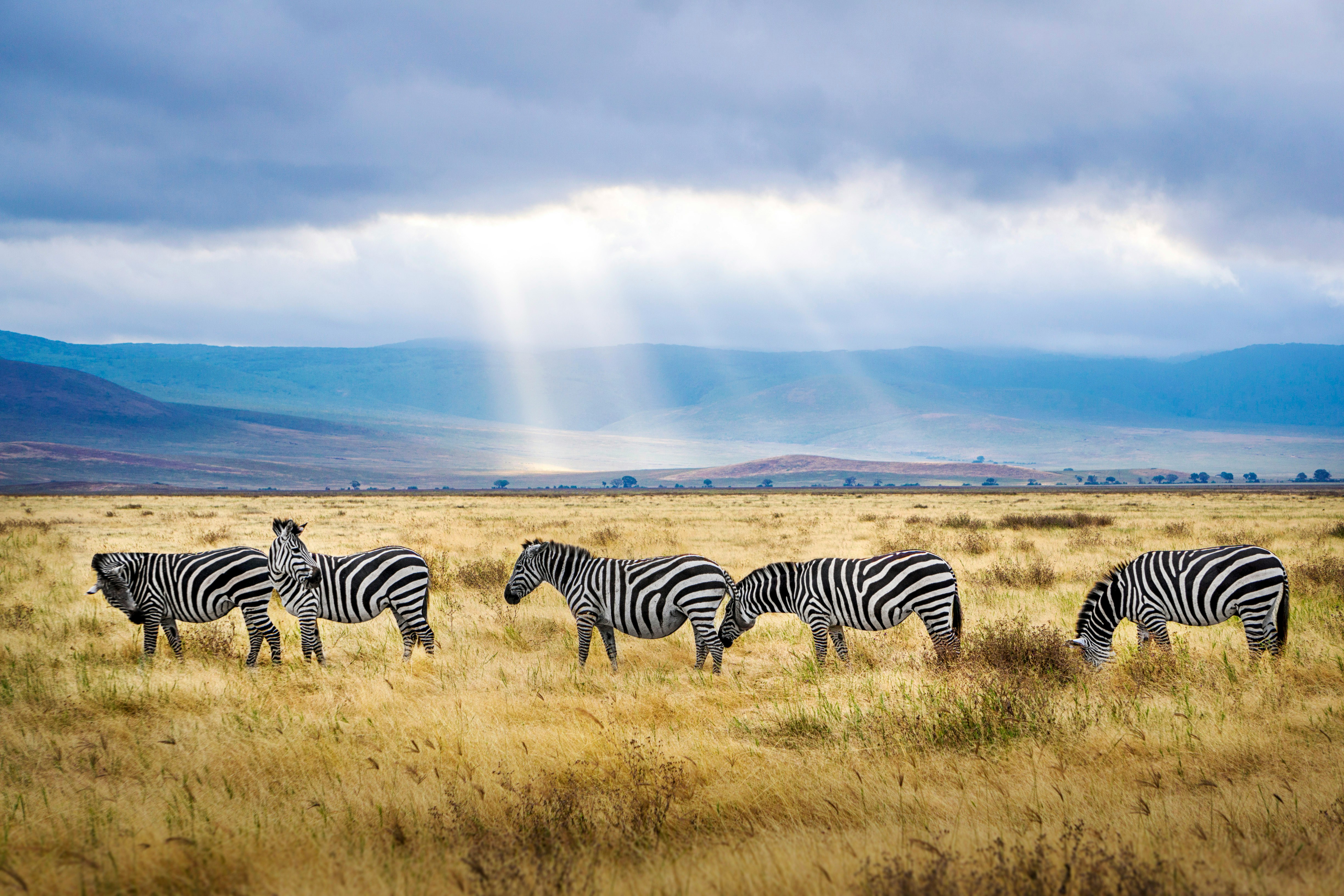 TANZANIA 11 DAYS / 10 NIGHTS.